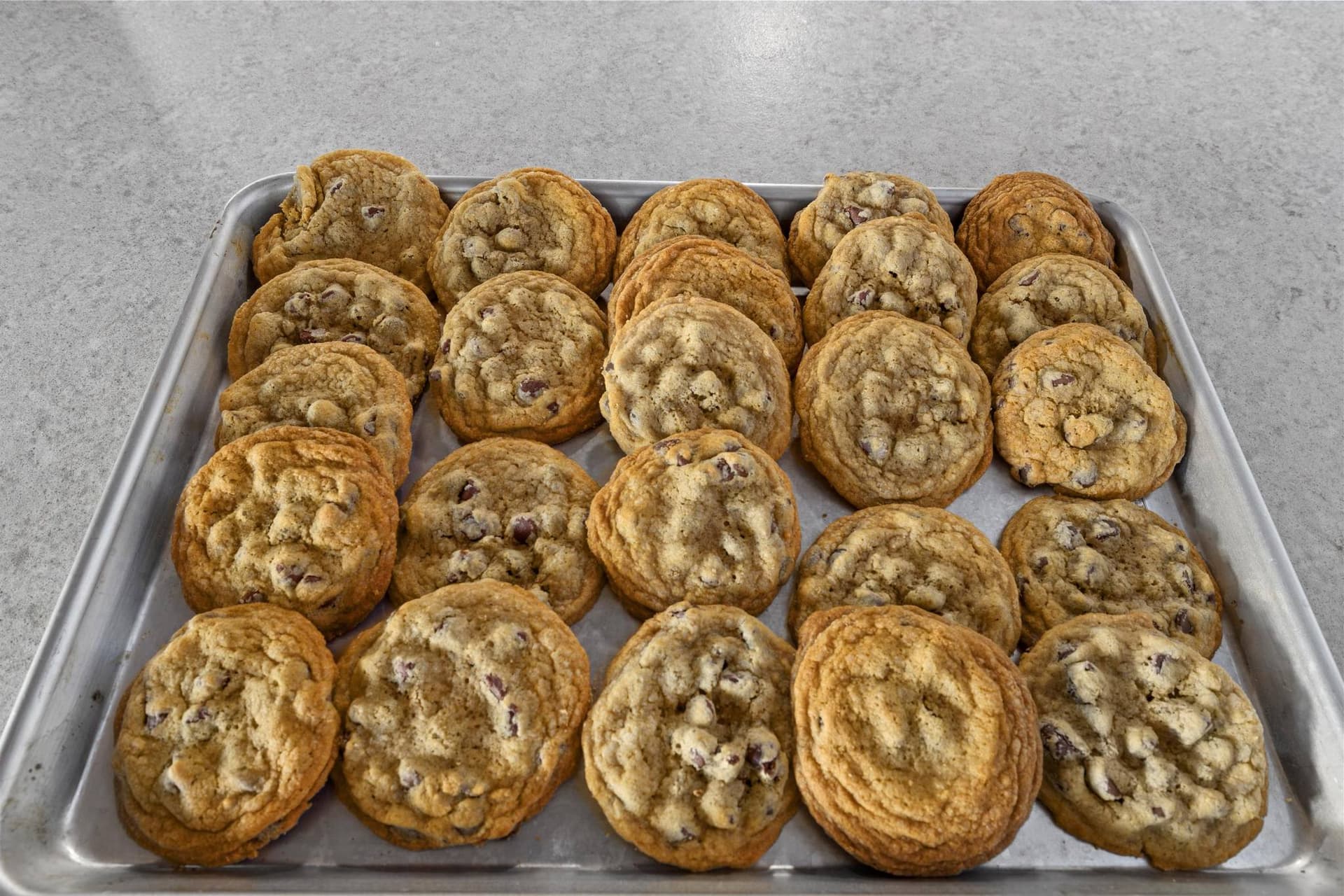 Chocolatechipcoo
